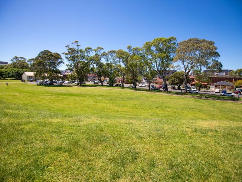 MacCabe Park Site 2 (Looking North East)